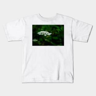 Queen Anne's Lace, White on Green Kids T-Shirt